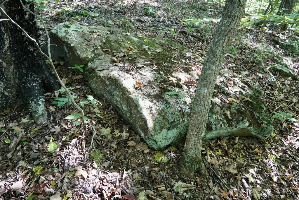 Picture 8