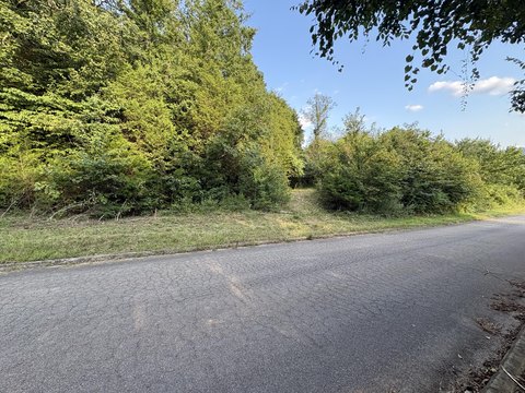 Land, Parrottsville, TN