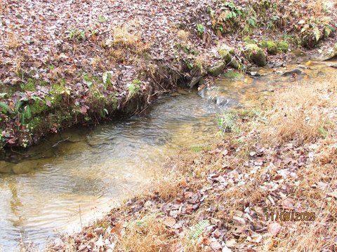Unrestricted Creek Front Land