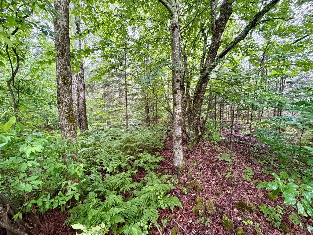 Picture 31
