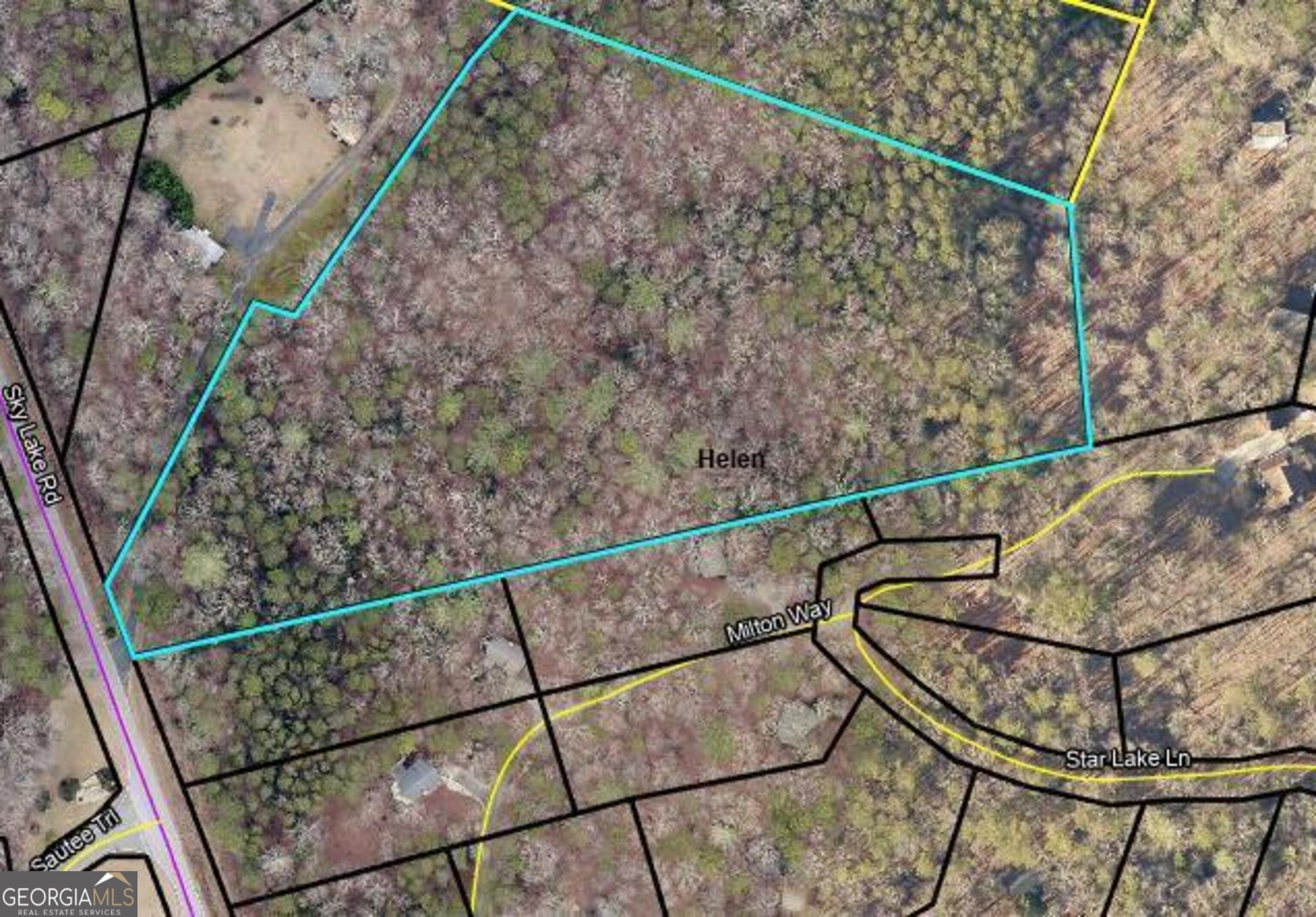 Residential Land in Sautee Nacoochee