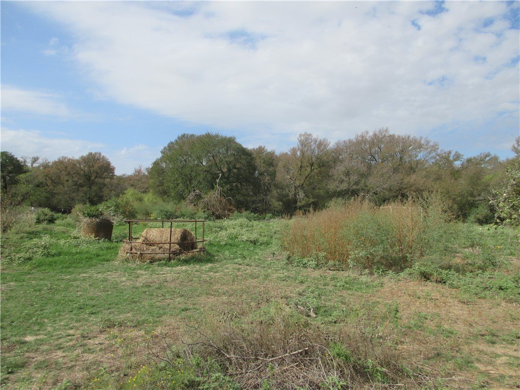 Picture 2