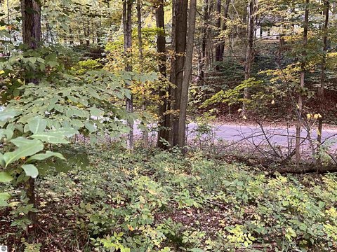 Vacant Lot/Land, Lake Ann, MI