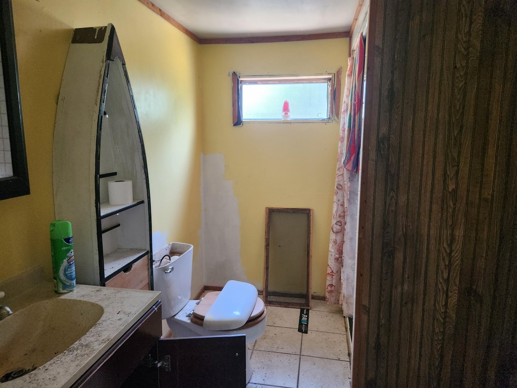 Picture 8