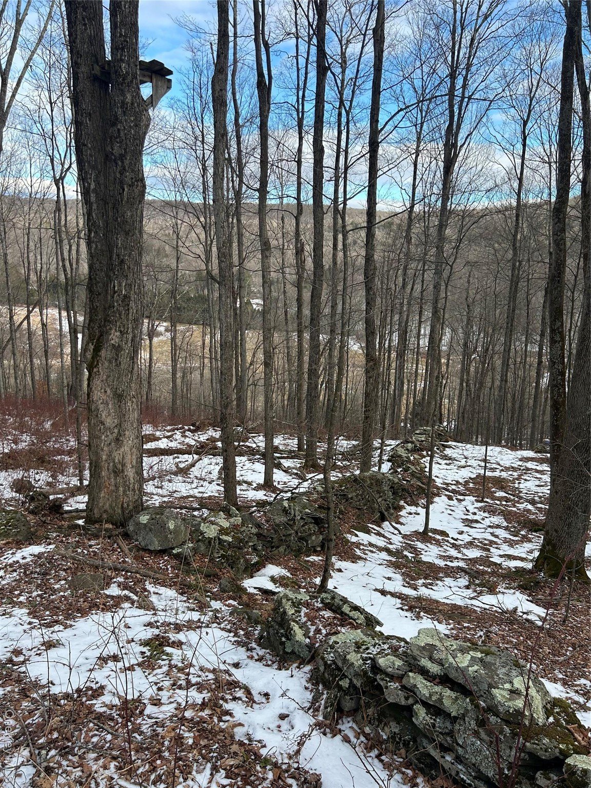 Scenic Land in Margaretville, NY