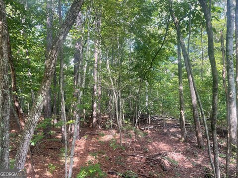 Land in Franklin, Georgia