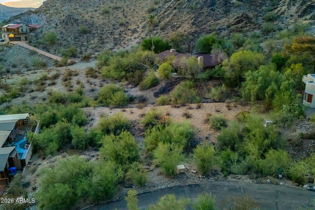 Picture 5