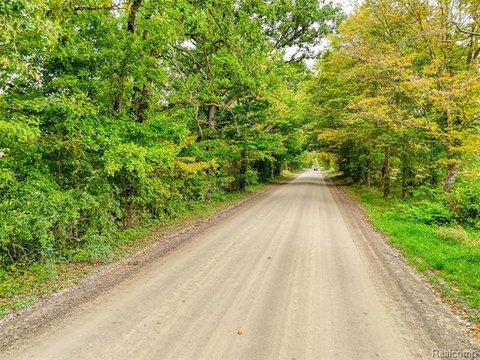 Vacant Land, Marion Twp, MI