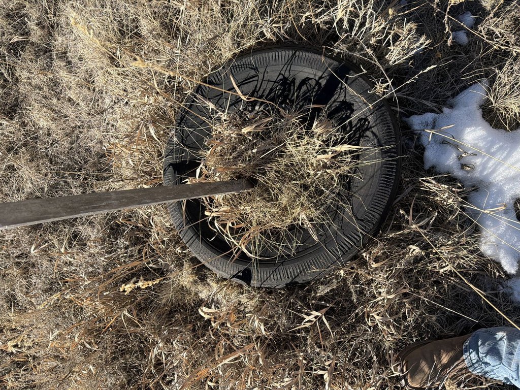 Picture 22