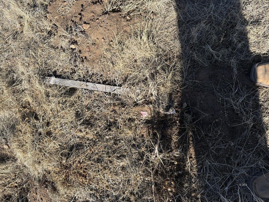 Picture 21