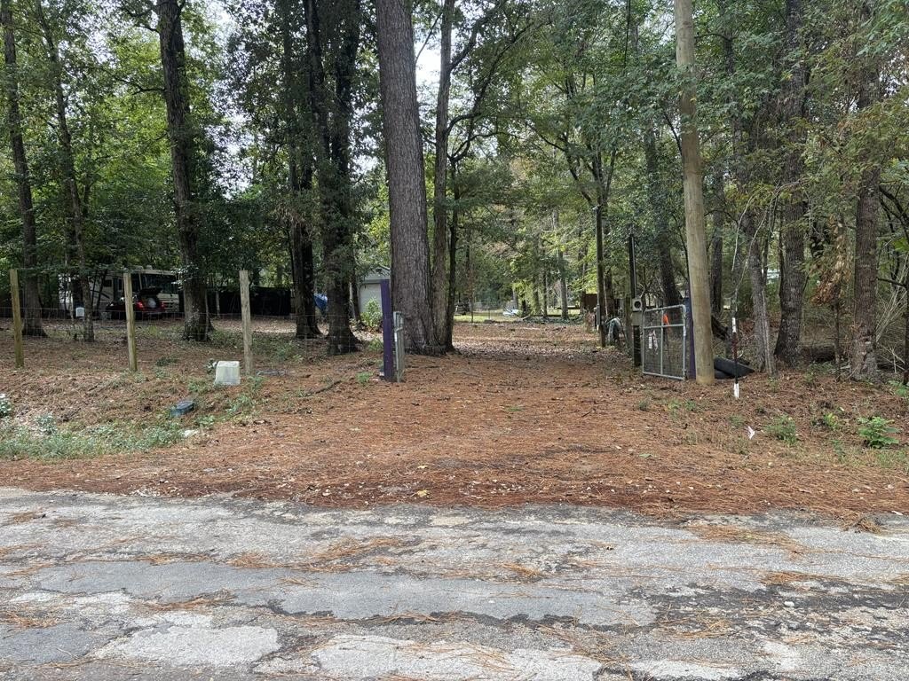 Picture 3
