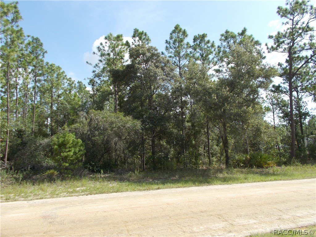 Picture 4