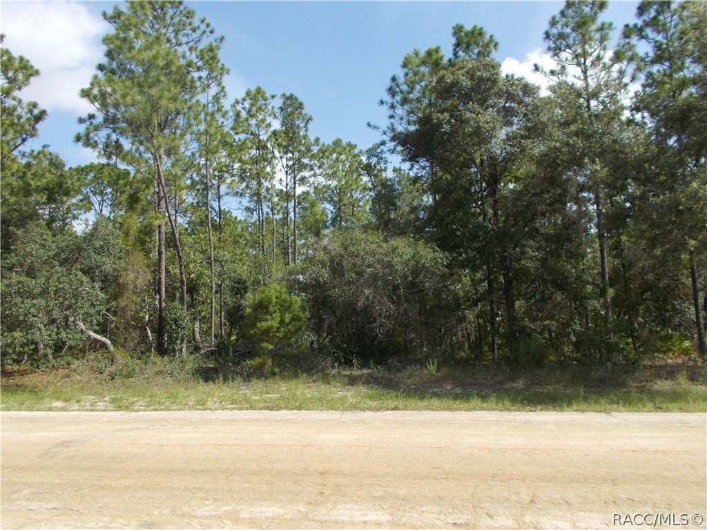 Picture 5