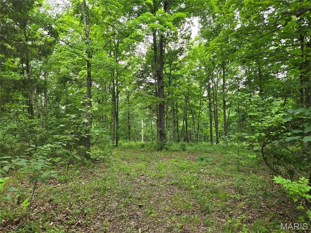 Picture 5