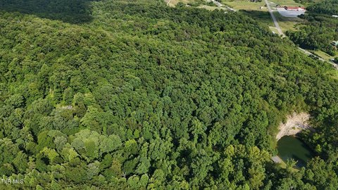 Land, Other - Bulls Gap, TN