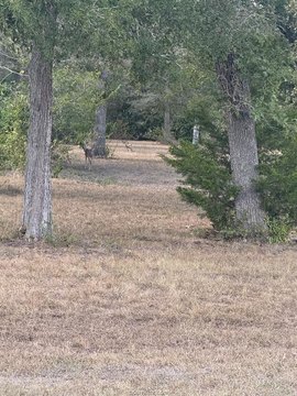 Land, Caldwell, TX