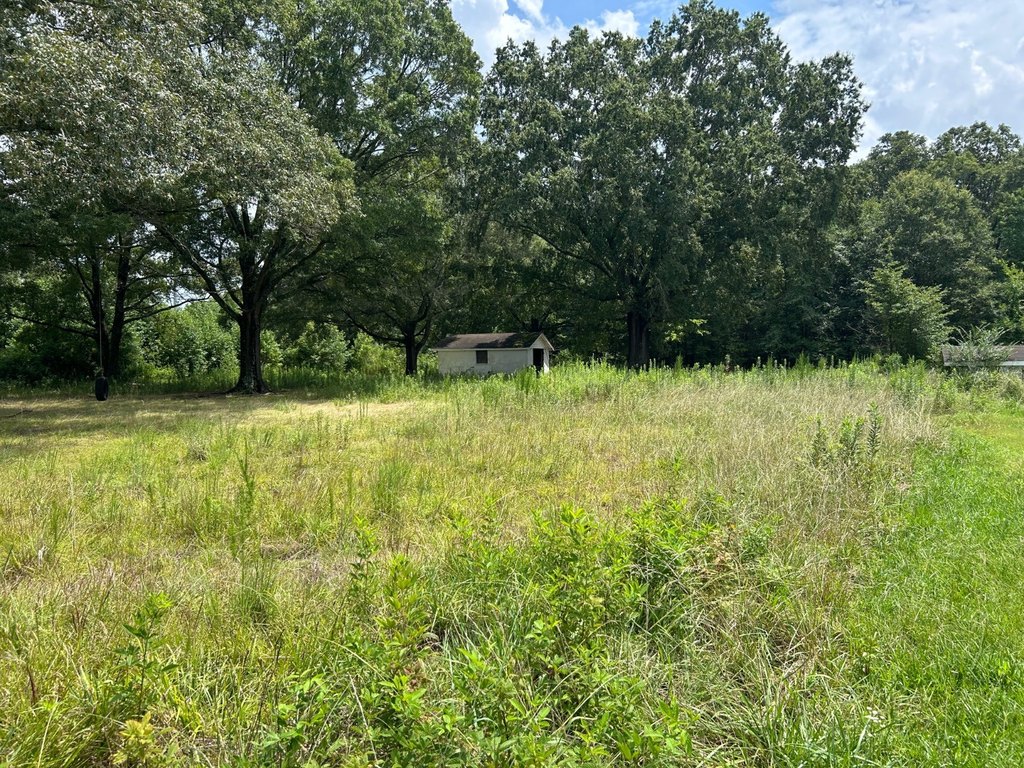 Picture 21