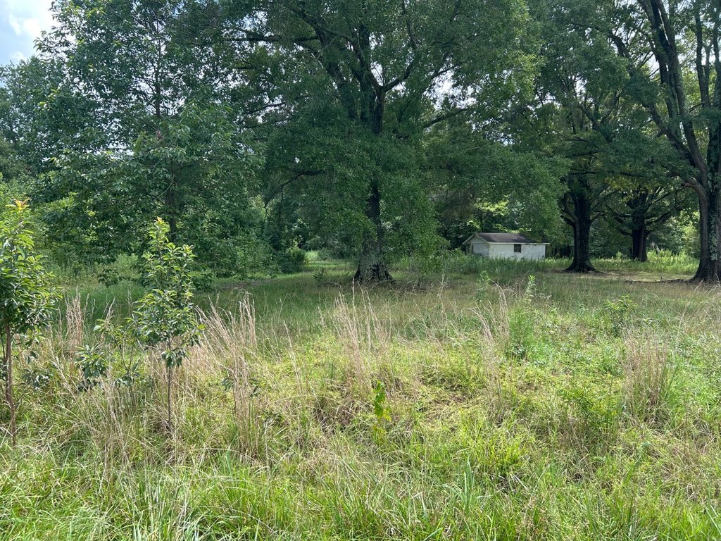 Picture 16
