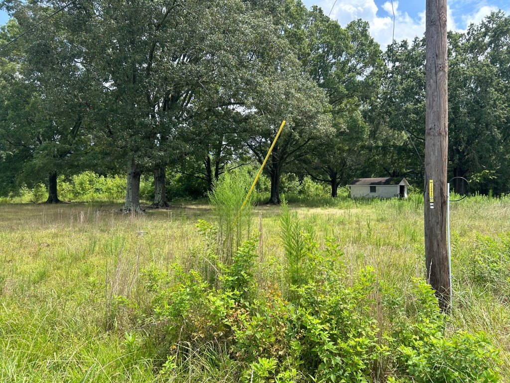 Picture 19