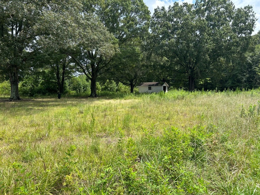 Picture 20
