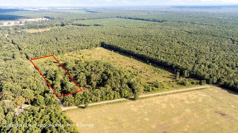 Recreational Land Tract in Simms, TX