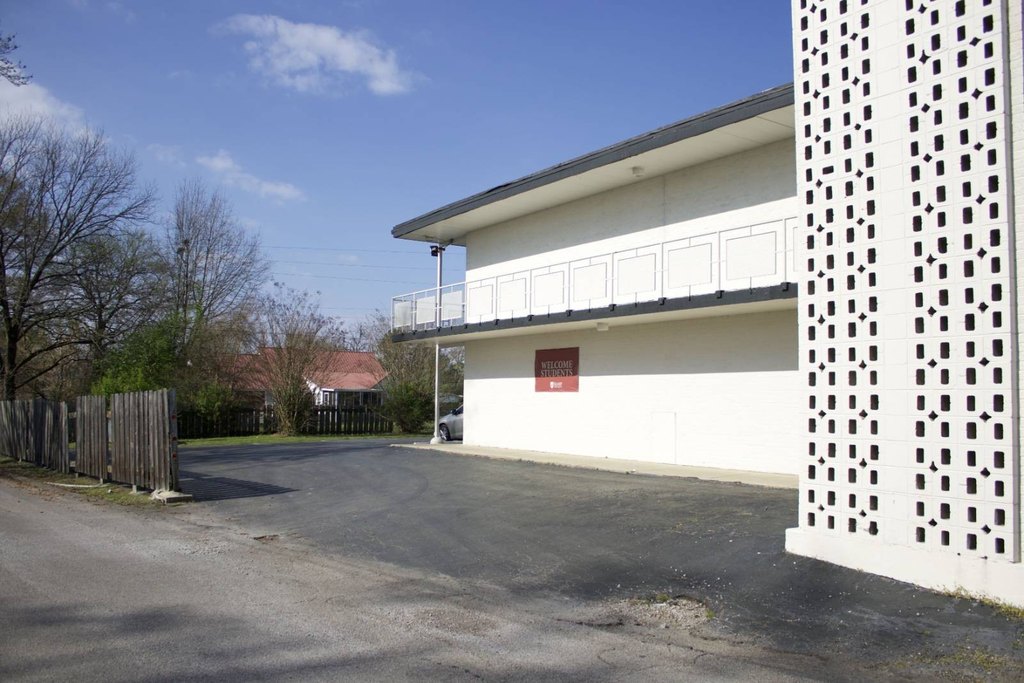 Picture 5