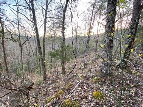 Sevierville, TN Land For Sale