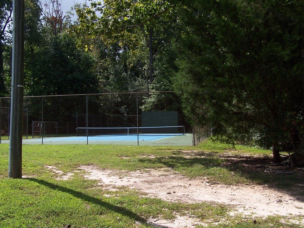 Picture 8