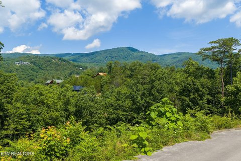 LAND - Sevierville, TN