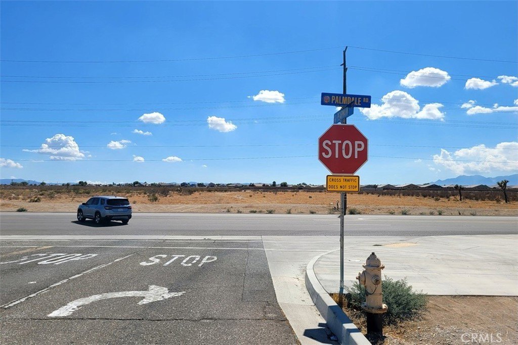 Picture 6