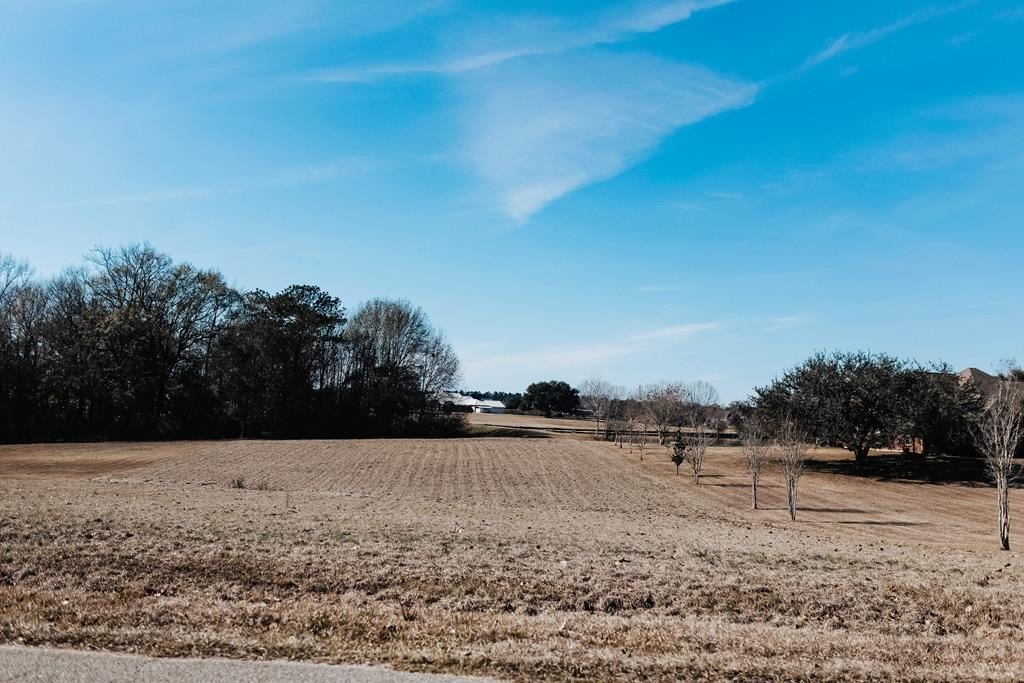 Vacant Waterfront Lot in Carriere