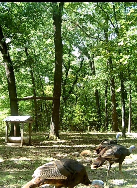 Picture 8