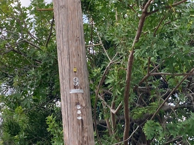 Picture 11