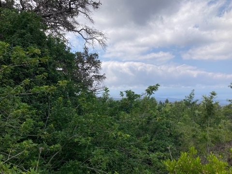 LAND - Ocean View, HI