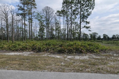 Vacant Lot in Placida