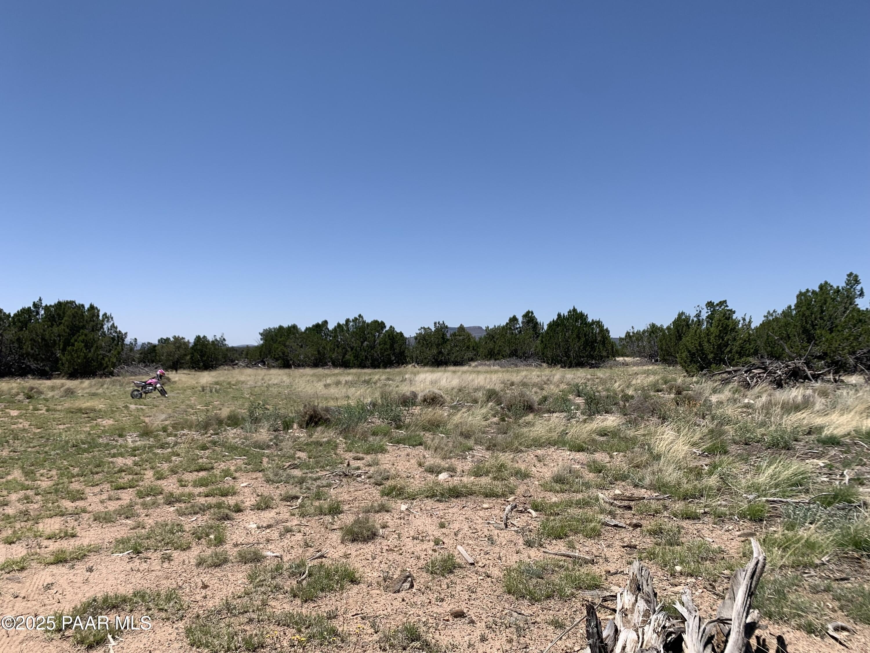 Land in Seligman, Arizona
