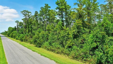 Heavily Wooded Unimproved Land Parcel