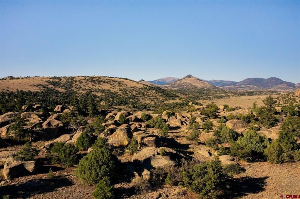 Del Norte Land For Sale