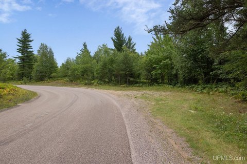 VACANT LAND, Negaunee, MI
