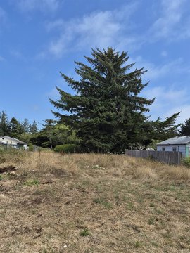 LAND - Crescent City, CA
