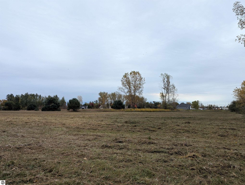 Picture 9