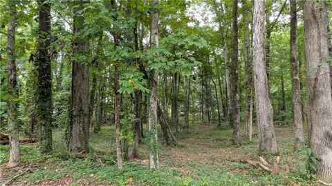 Land/Farms, AUBURN, AL