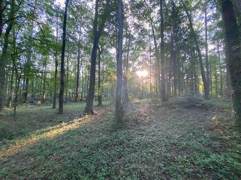 Land/Farms, AUBURN, AL
