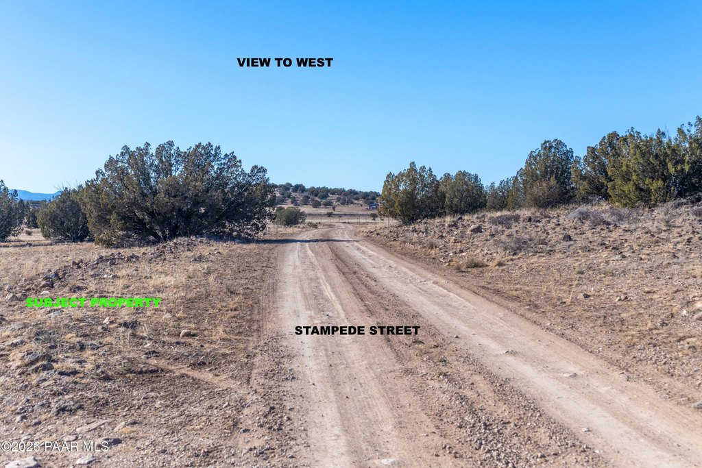 Picture 26