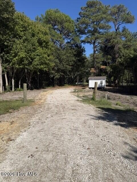 Picture 3
