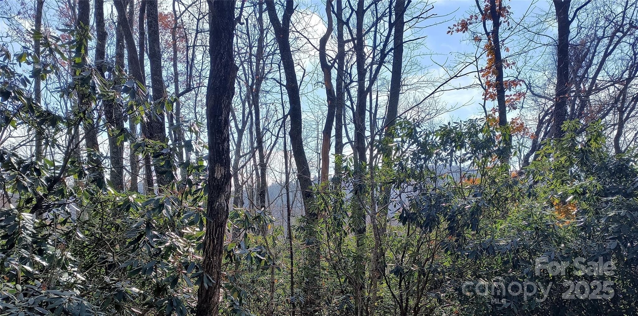 Residential Lot in Jonas Ridge