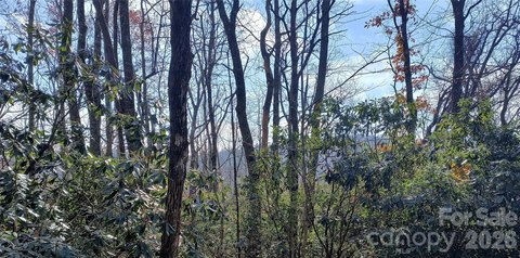 Residential Lot in Jonas Ridge