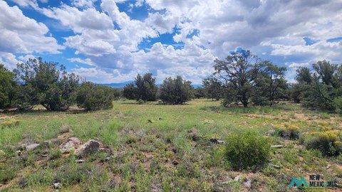 Land, Quemado, NM