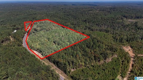 LAND/LOTS, NORTHPORT, AL