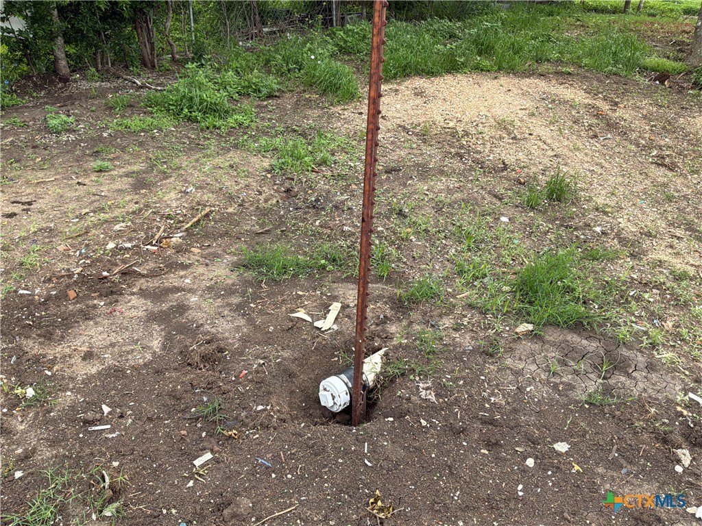 Picture 4